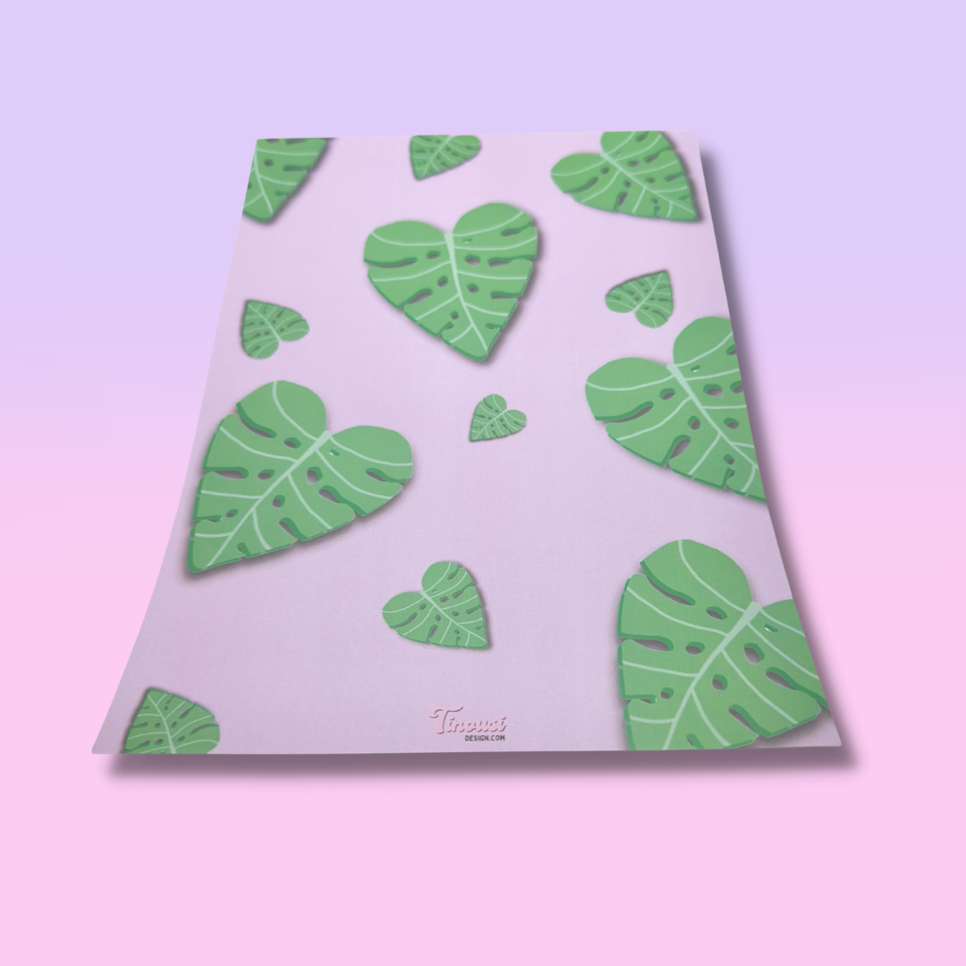 Monstera Leaf Bundle (Full Range)