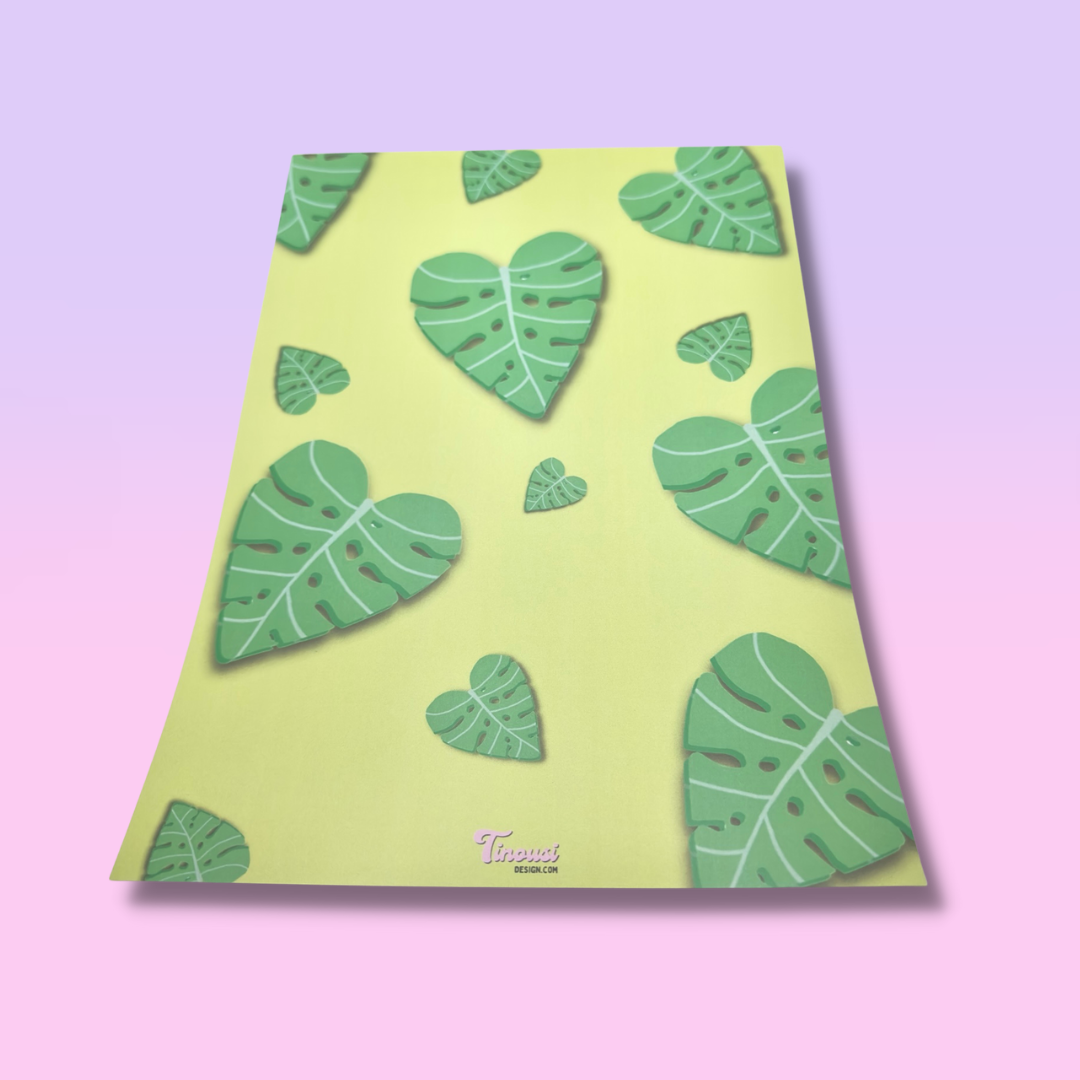 Monstera Leaf Bundle (Full Range)