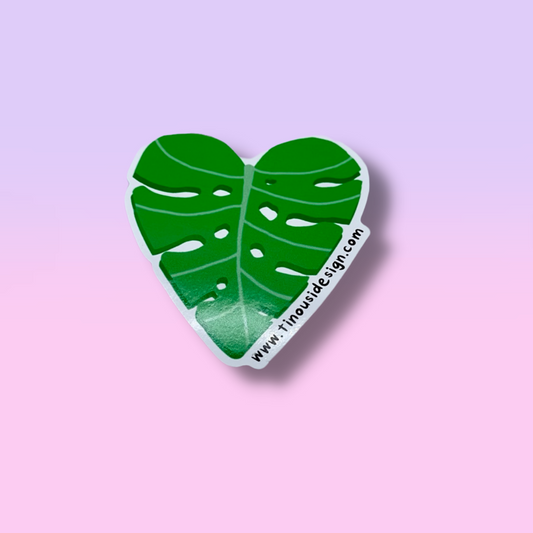 Monstera Leaf Bundle (Full Range)